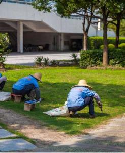 室外绿化养护